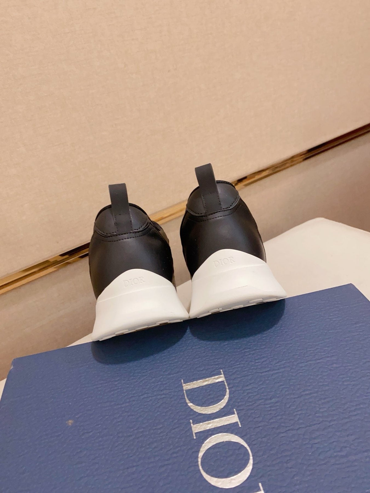 Dior B30 Low-Top Sneakers — back
