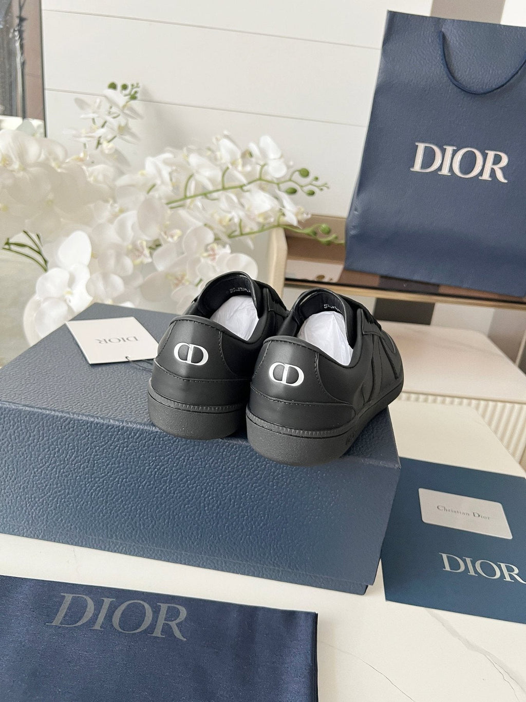 Dior B01 Low-Top Sneakers — back