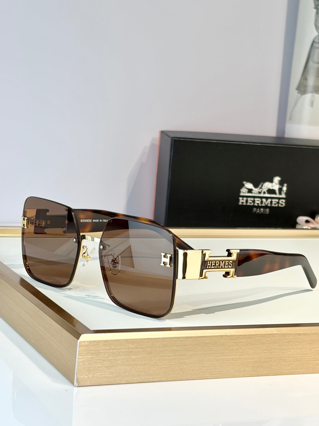 Hermes H8021 Sunglasses