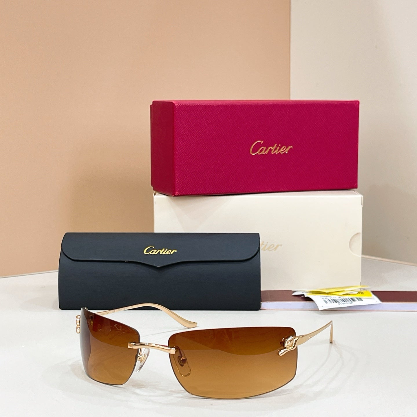 Cartier CT0503S Sunglasses